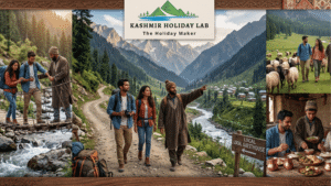Affordable Offbeat Kashmir Tour Packages: Explore Hidden Valleys with Local Guides